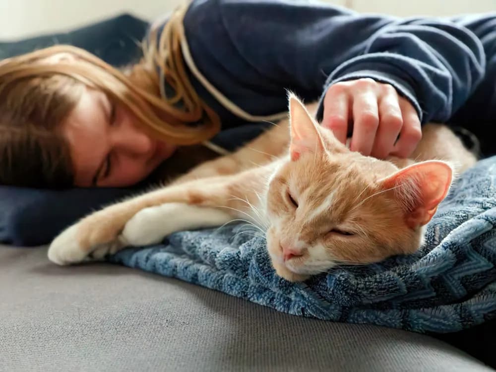 sick person petting their cat while lying down