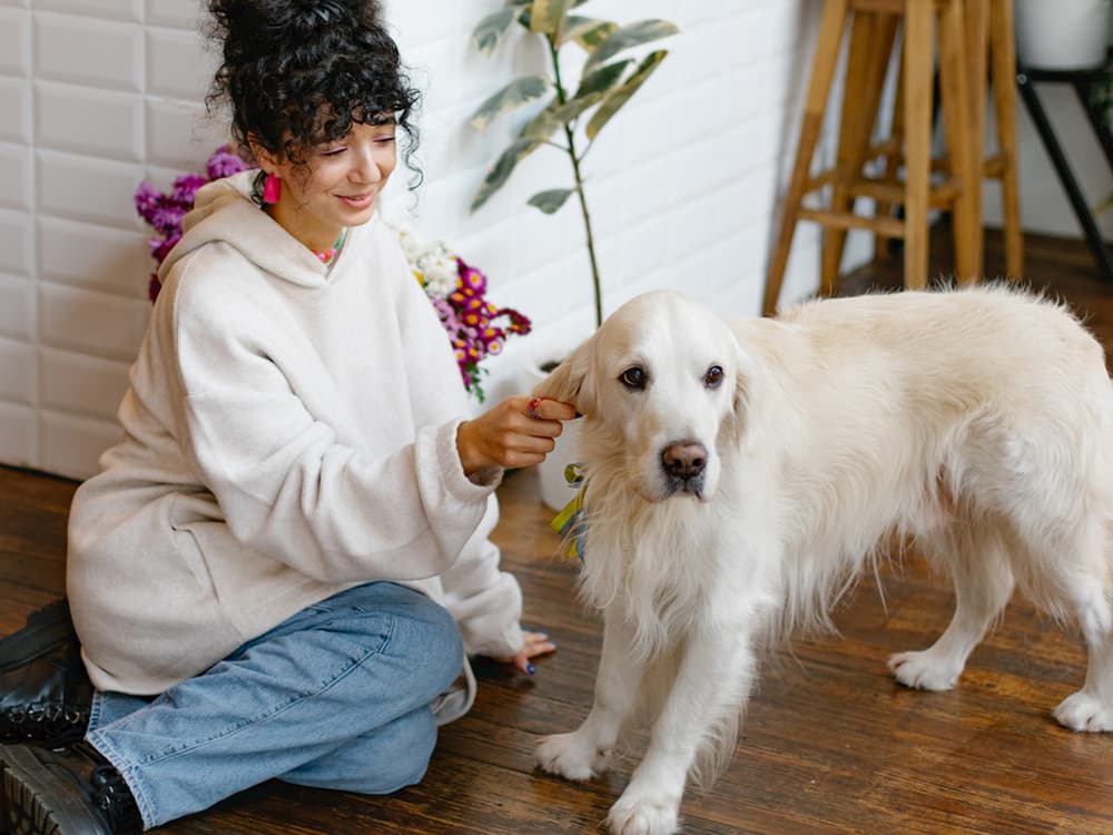 curly brunette girl sitting on the floor with her white dog