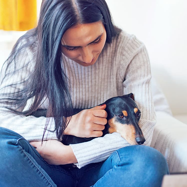 10 Reasons Why Your Dog Throws Up in the Morning