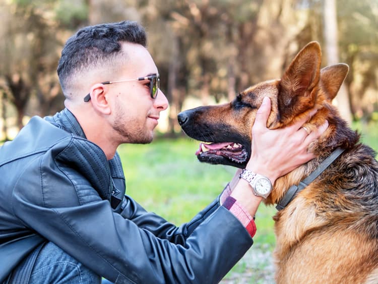 How Dogs Really Choose Their Favorite Human (It’s Not Just About the Treats)