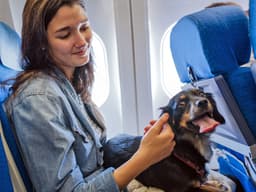9 Popular Airlines’ Pet Policies—So You Can Jet-Set Together