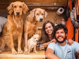 Keeping Finn’s Henry Friedman Calls From the Road to Talk Van Life & Dog Rescue