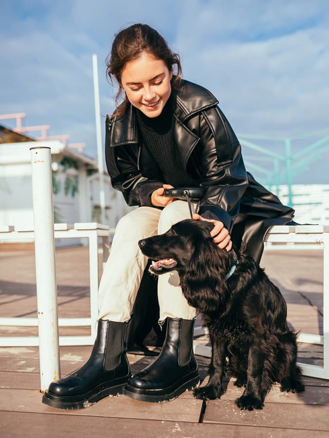 How to Integrate Training Into Your Puppy’s Daily Life