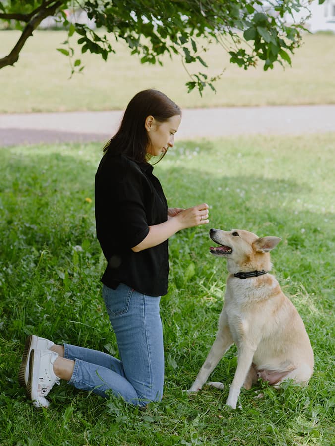 How to Make a Comeback After a Dog-Training Fail