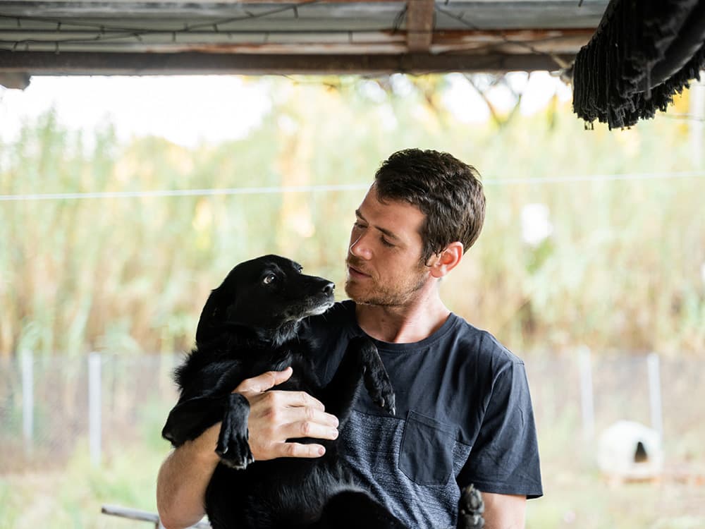 “Why Does My Dog Bark at Men?”