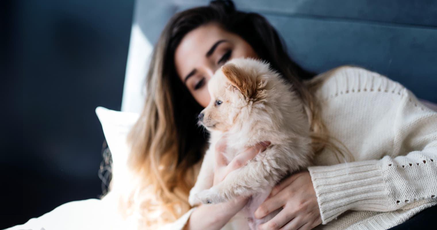 How Can I Find a Home for My Pomeranian?