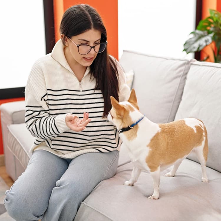How to Not Lose It When Your Dog Won’t Stop Barking