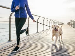 8 Questions to Ask Yourself When Choosing a Dog Breed