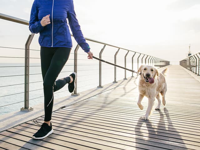 8 Questions to Ask Yourself When Choosing a Dog Breed