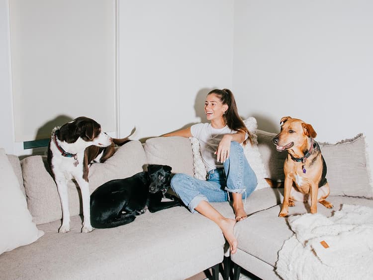 Dandy Takes Your Dog’s Wellness Personally