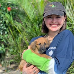 How to Turn Your Vacation Into an Opportunity to Help Local Rescue Animals