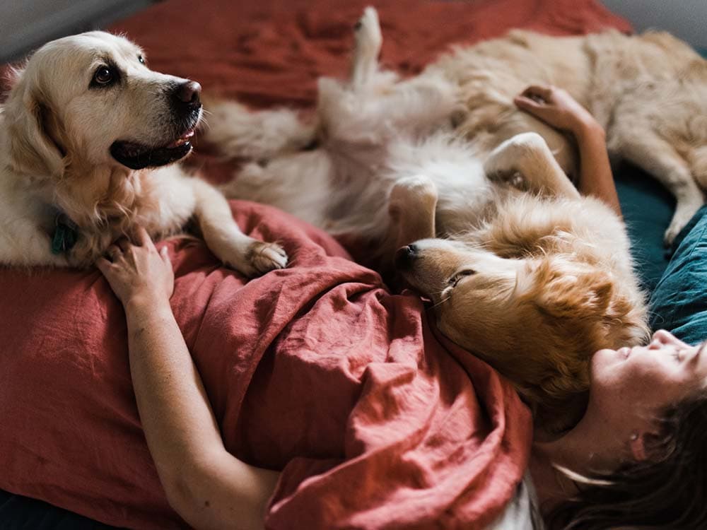13 Reasons You Should Let Your Dog Sleep in Your Bed