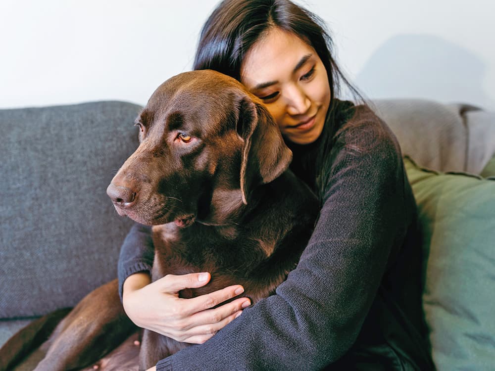 woman hugging labrador retriever