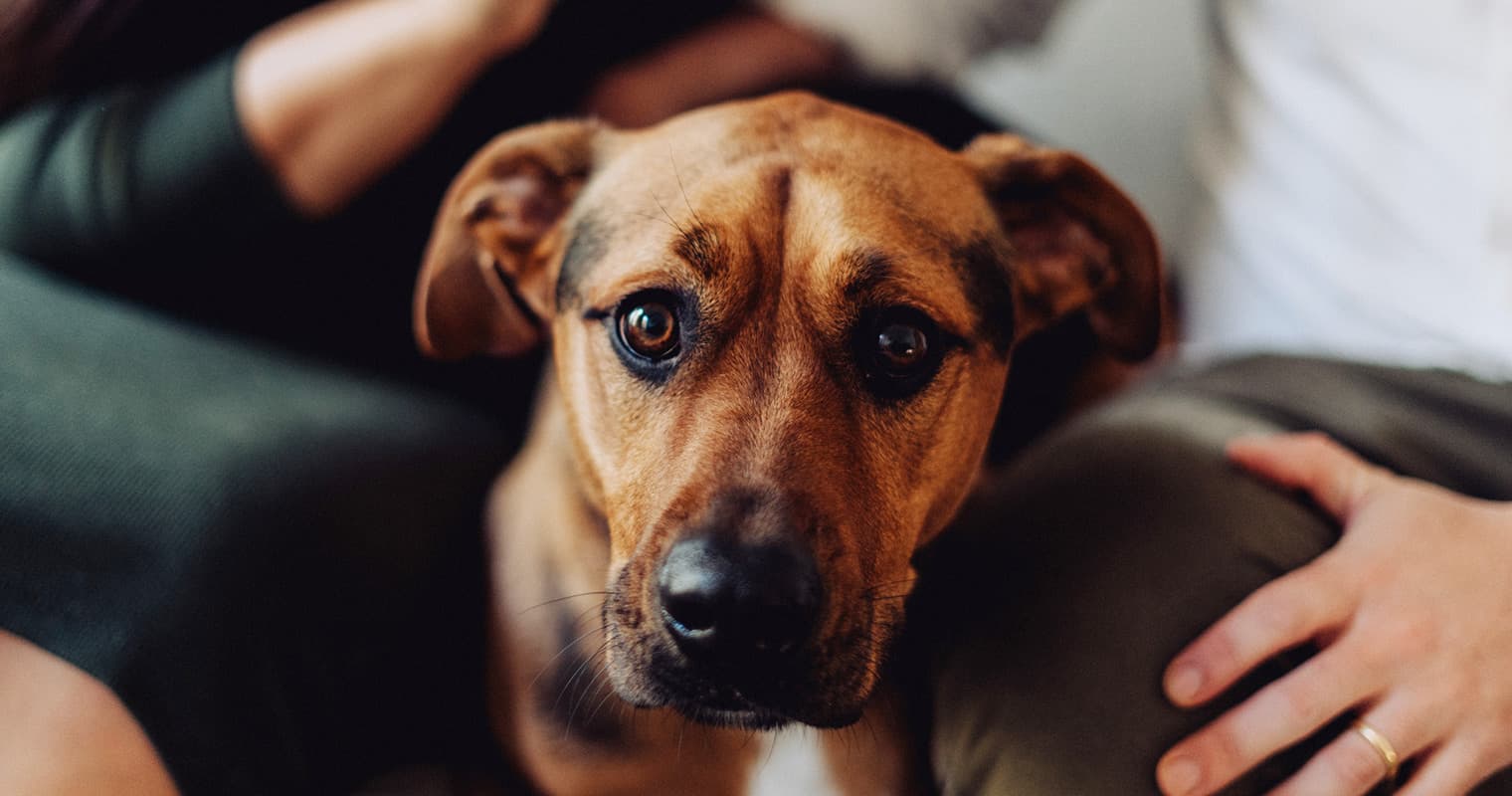 What Is a Hard Stare?