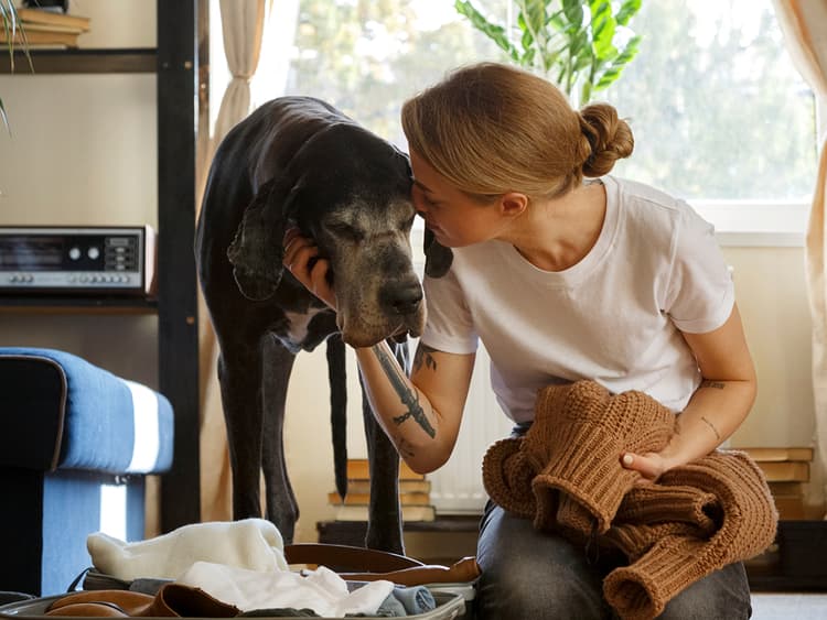 How to Rehome Your Pet With Ease (and Minimal Tears)