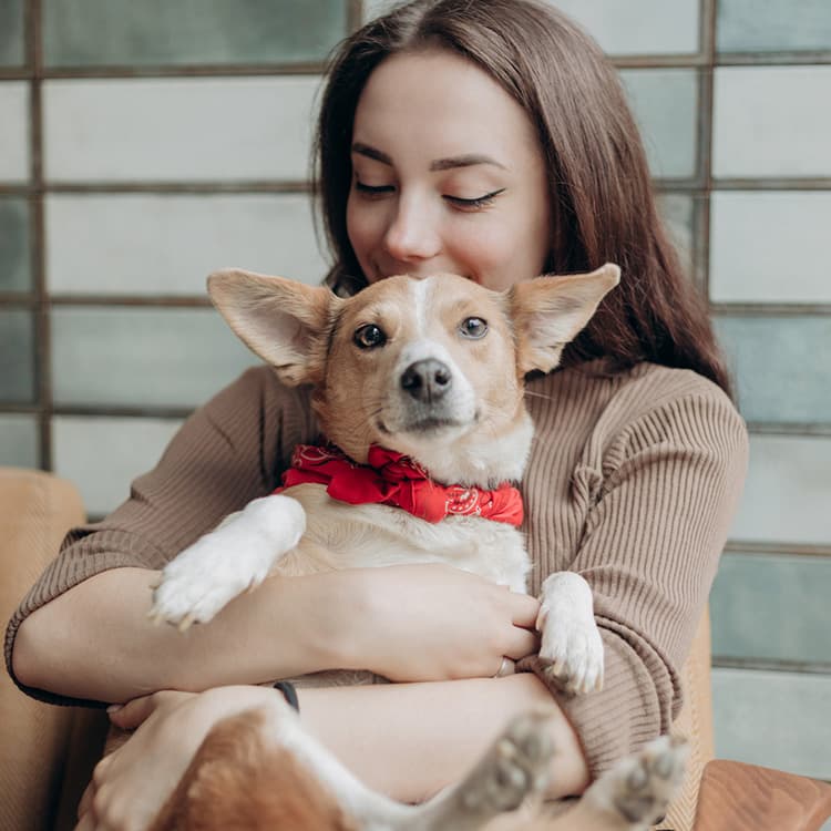 It’s Adopt a Shelter Dog Month
