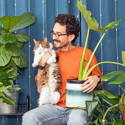 12 Ways to Tell That Your Cat Is Happy