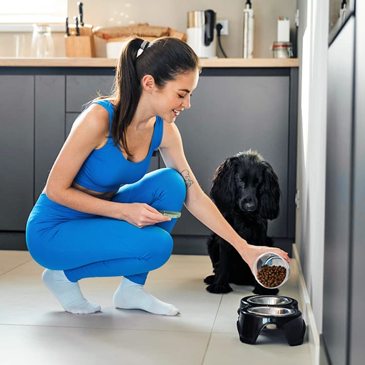 How to Transition Your Dog’s Food