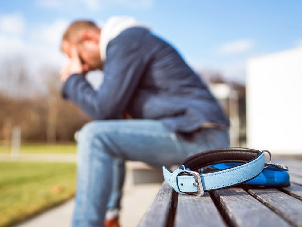 The Real Reason Grieving a Pet Can Feel So Much Harder