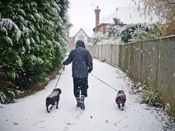 How to Teach Your Dog to Poop in the Snow