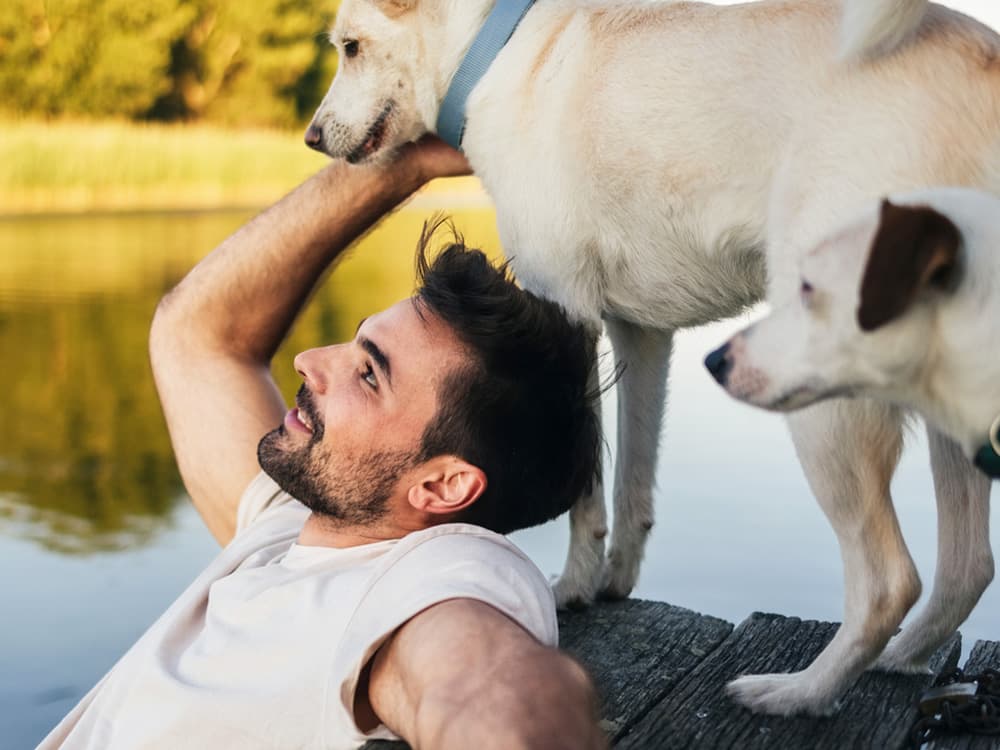 A man lounging on a weathered dock with two dogs beside a calm lake