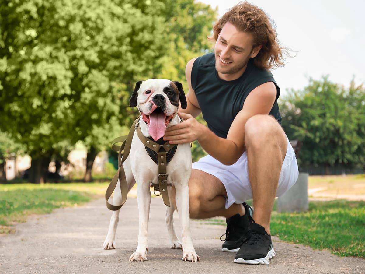 man with white boxer dog with brown spots
