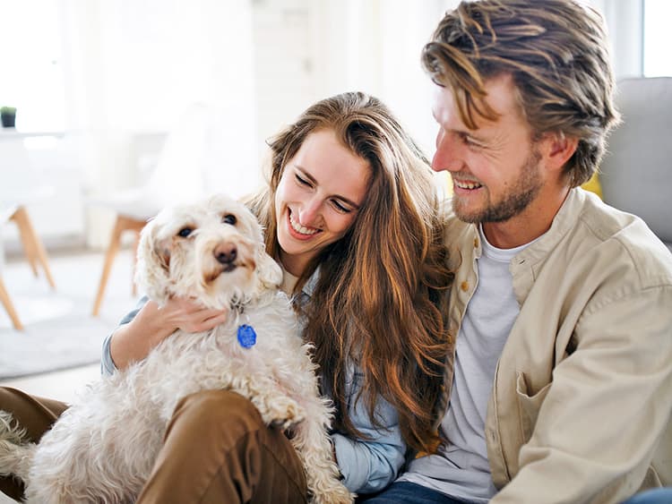 Is It Ever Too Soon to Introduce Your Dog to Your Partner?
