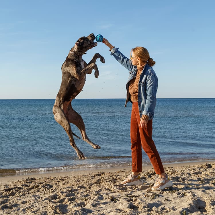 It’s Not Bougie to Get Stem Cell Therapy For Your Pets