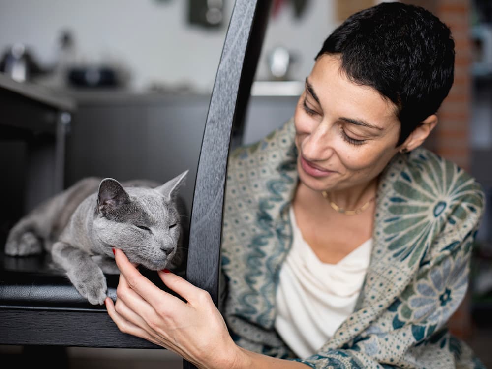 10 Reasons Why You Should Adopt a Cat