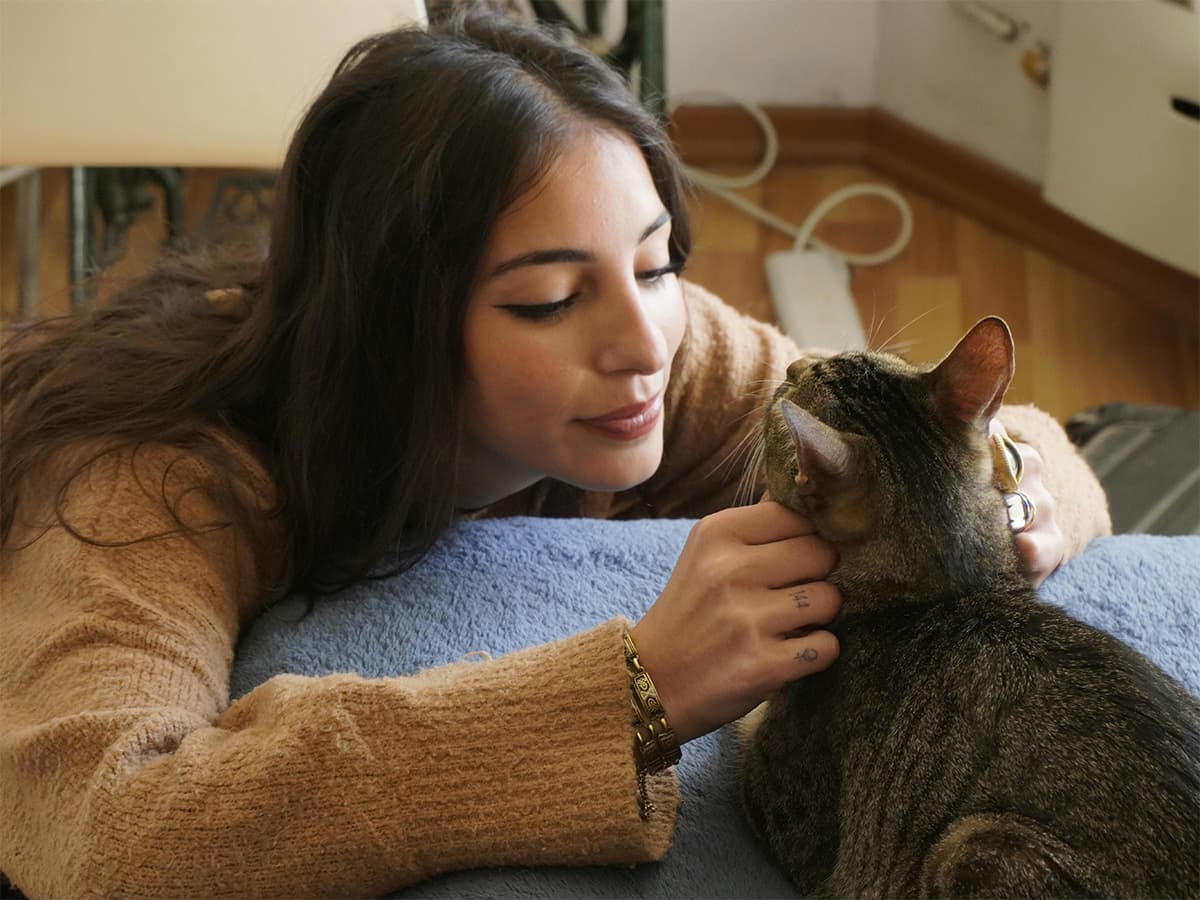 woman petting cat at a cat cafe