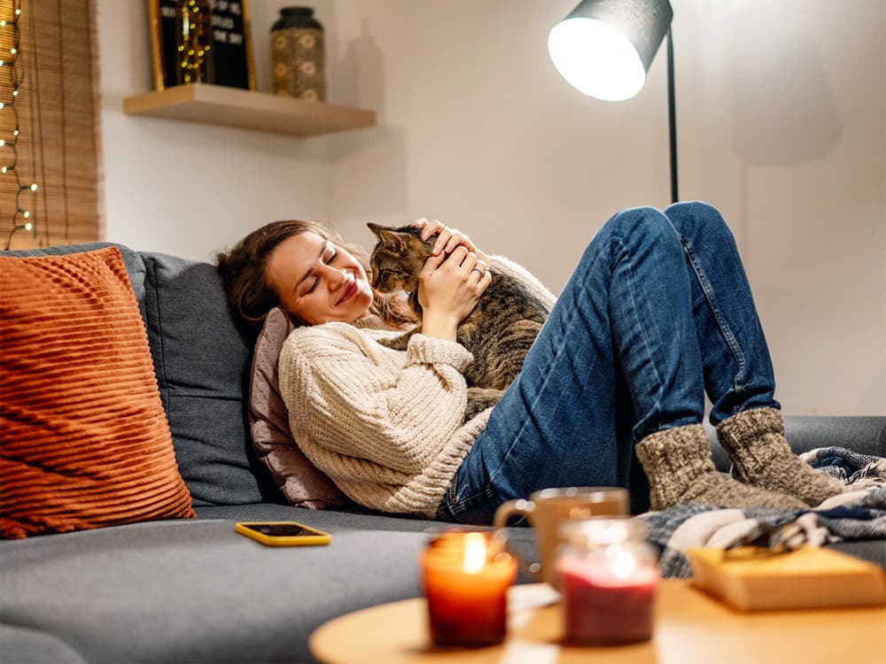 Should You Give Your Pet Heartworm Prevention in the Winter?