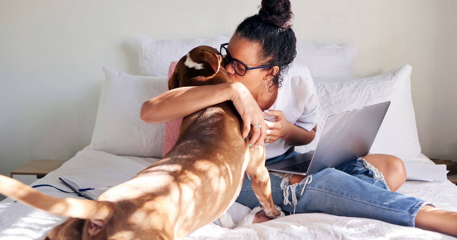 How Can I Find a Home for My Pit Bull?