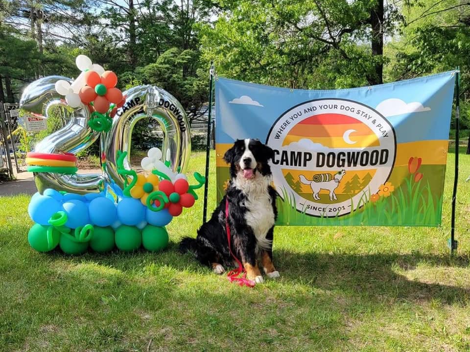 dog celebrating camp dogwood