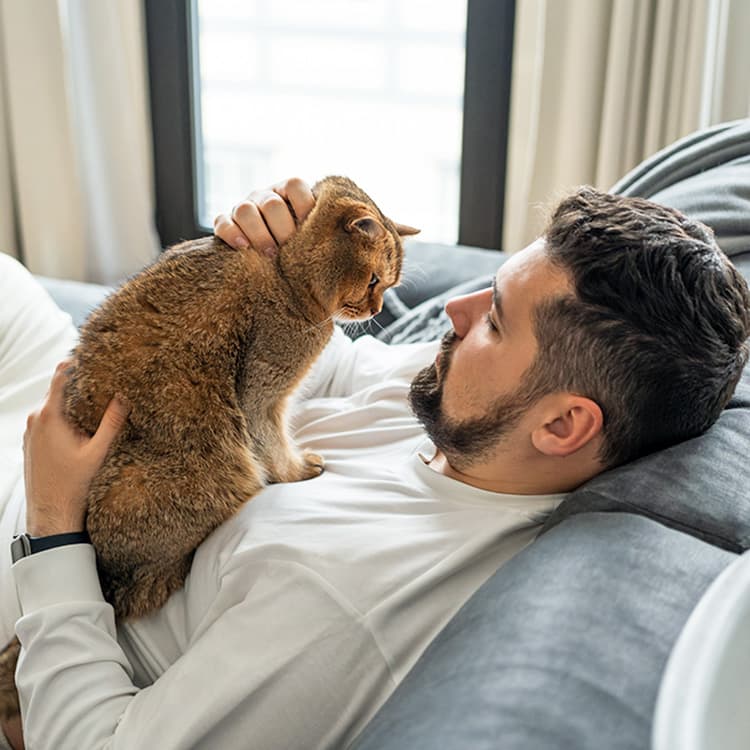 Are Male Cats More Affectionate?