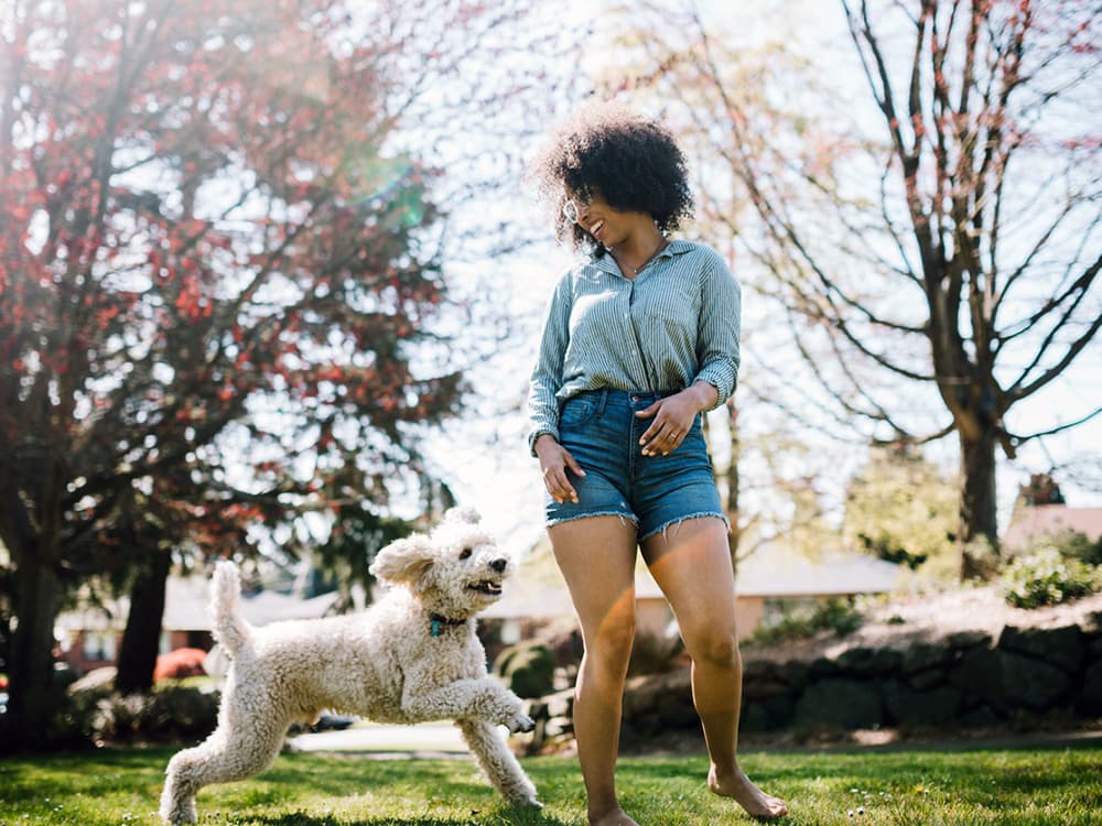 7 Games That Can Actually Teach Your Dog Something