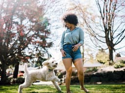 7 Games That Can Actually Teach Your Dog Something