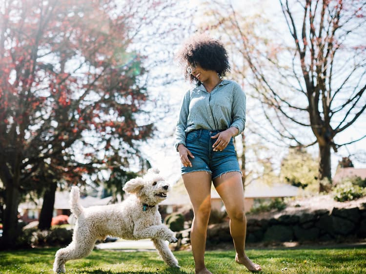 7 Games That Can Actually Teach Your Dog Something