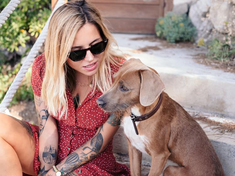 Why Do We Want Our Dogs to Talk So Badly?