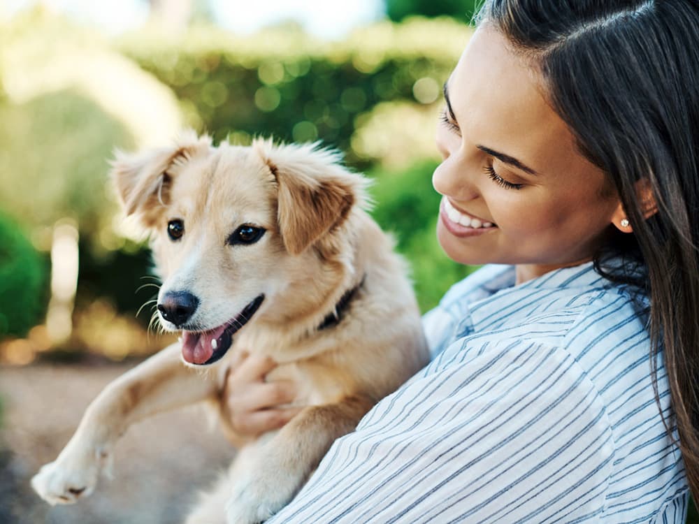 Should Your Puppy Be Chewing on Bones?