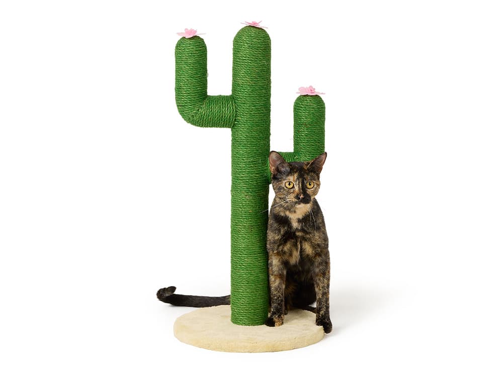 Whisker City 26-in Green Cactus Cat Scratching Post