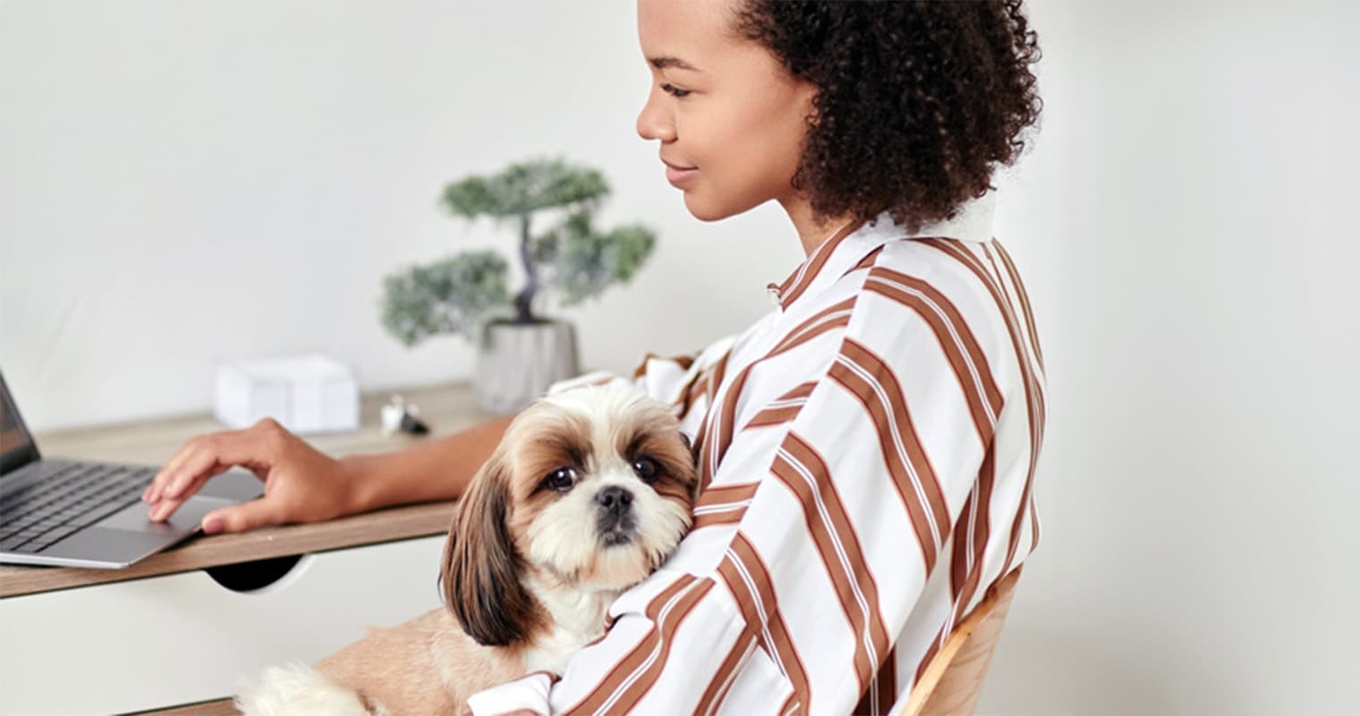 What Does It Mean to Surrender a Shih Tzu?