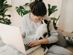 Why Does Your Cat Headbutt You? Curious Cat Behavior Explained