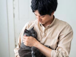 Why Does My Cat Have Bald Spots?