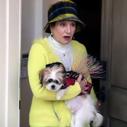 Pay Attention to the “Curb Your Enthusiasm” PSA for Dog Coyote Vests