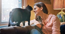 24 Questions You Should Ask Before Fostering a Cat