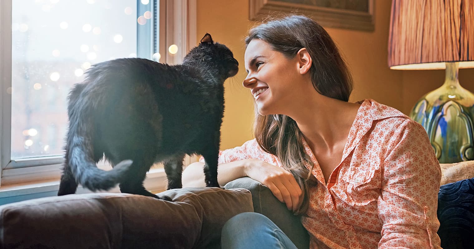 24 Questions You Should Ask Before Fostering a Cat