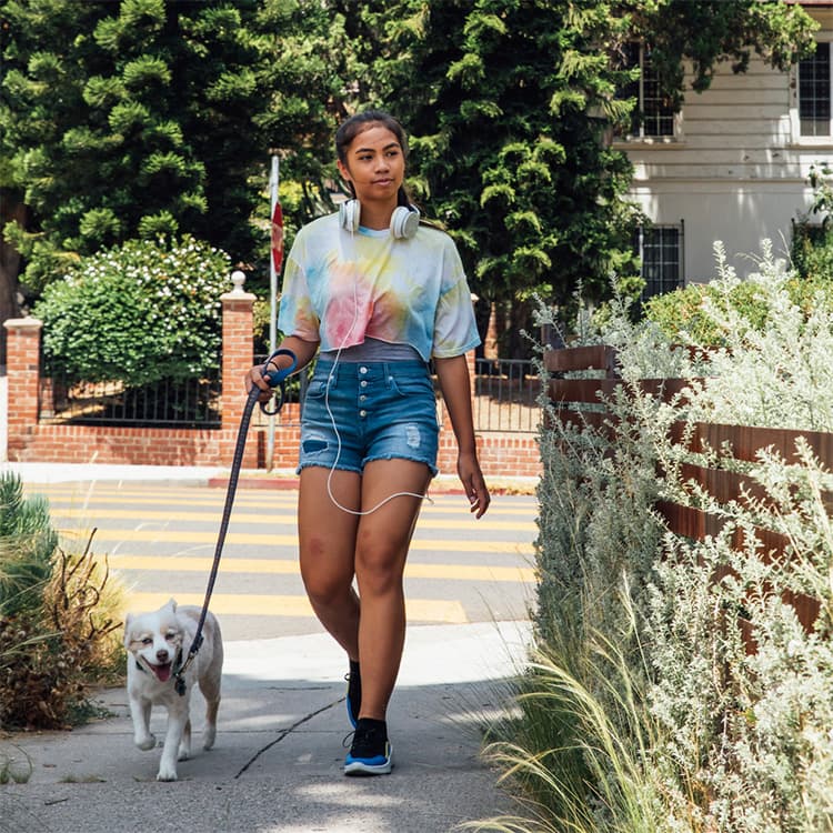 First Day Home with a Puppy? Here’s What to Expect