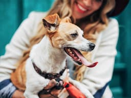 Puppy Dental Care: How and When to Start Brushing Their Teeth