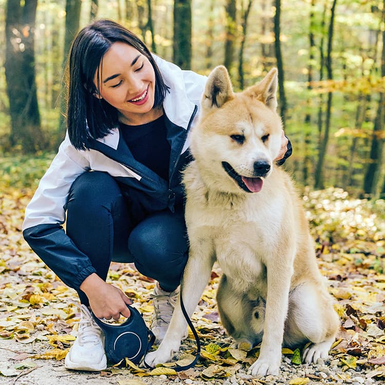 What Are the Most Loyal Dog Breeds?