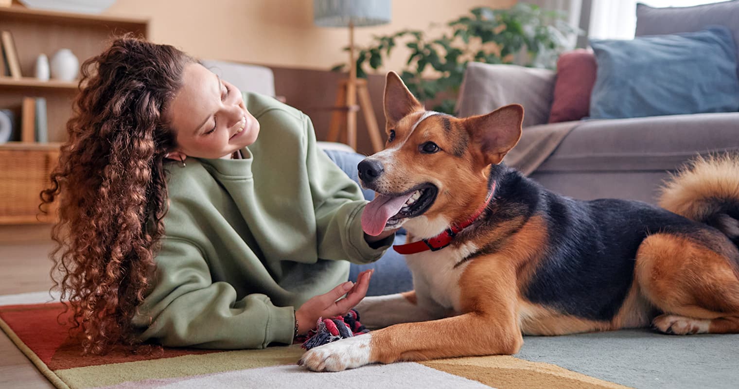 How Does Adopt a Pet Work?